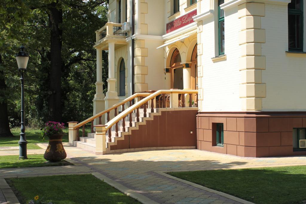 Guest House Vila Lujza Palić Exteriér fotografie